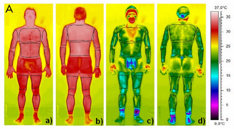 Compare Whole vs Partial – US Cryotherapy